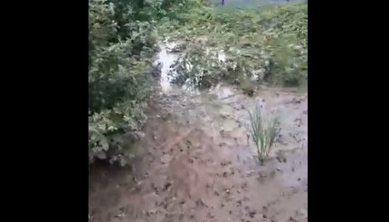 Потоп, накрывший около 20 сел в Черновицкой области