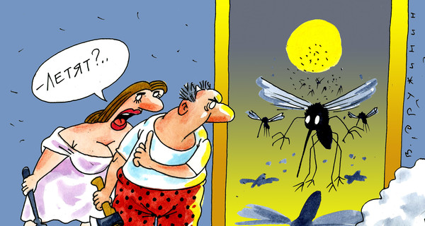 Анекдоты про комаров: 26 июня