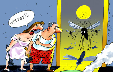 Анекдоты про комаров: 26 июня