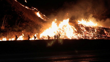 В Калифорнии из-за засухи вспыхнули лесные пожары