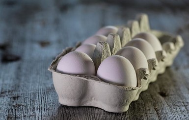 Украинцам прогнозируют стремительное подорожание яиц. В том числе и из-за НАБУ