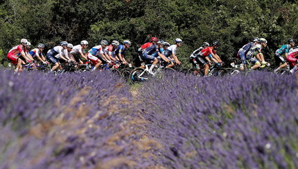 Новости велоспорта. Гонщики в действии на этапе 12 Тур де Франс.