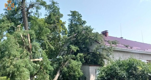 Ураган на Закарпатье оставил без крыш 32 дома и повалил 19 деревьев