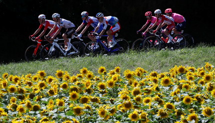 Велоспорт - Тур де Франс - общий вид гонщиков  во время этапа №19