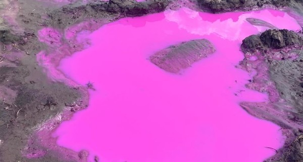 На Ровенщине забили тревогу из-за розовых луж в поле: в ГСЧС утверждают - это химикаты