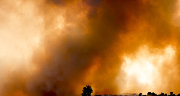 Пожары в Турции: огонь продолжает бушевать в пяти провинциях. Их объявили зонами бедствия  