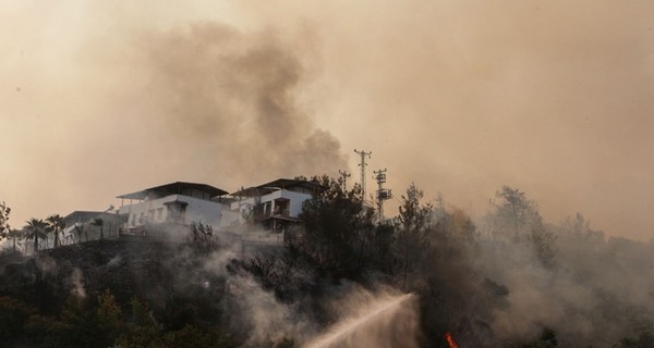 В Турции арестовали 6 человек, подозреваемых в поджоге лесов
