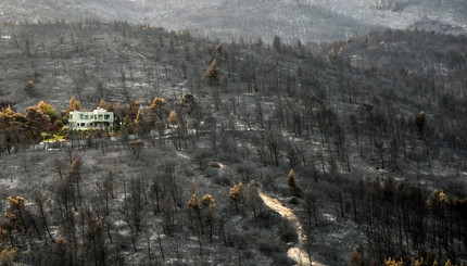 Последствия лесного пожара к северу от Афин, Греция.