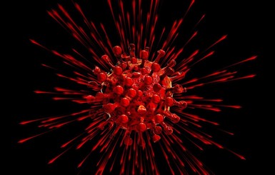 Ученые прогнозируют, что в сентябре начнется пик смертности от коронавируса