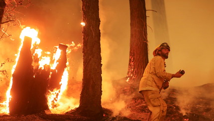 Пожарный продолжает удерживать линию огня  возле Тейлорсвилля, Калифорния, США.