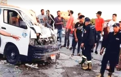В Египте кобра напала на людей в такси: погибли пять человек 