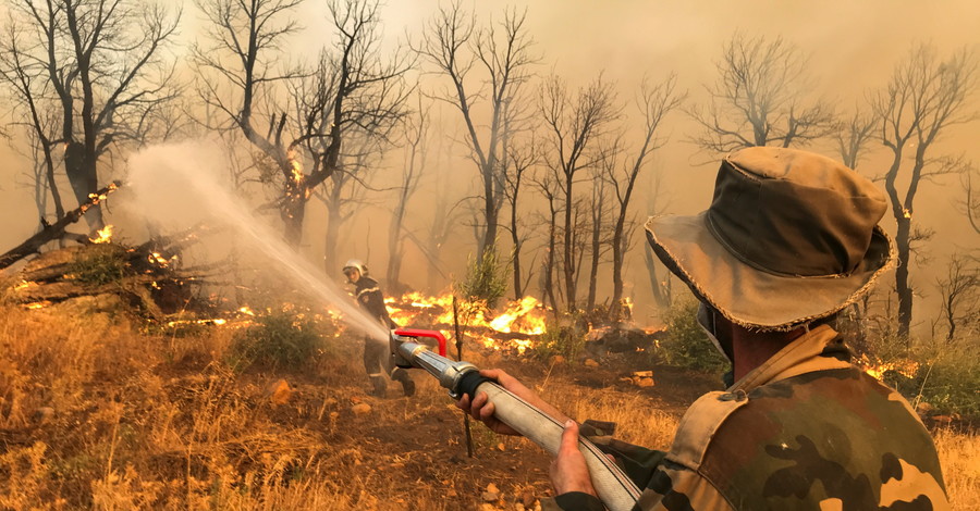 Мужчина тушит пожар из шланга в деревне Ахаллам в горном районе Кабили в Тизи-Узу, к востоку от Алжира, Алжир.