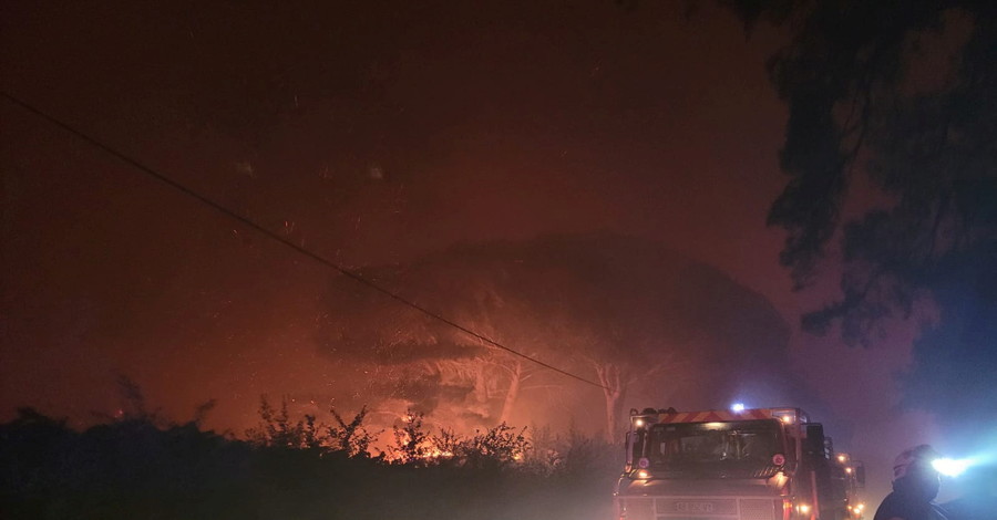 Юго-восток Франции охватили лесные пожары