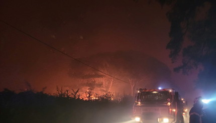 Юго-восток Франции охватили лесные пожары
