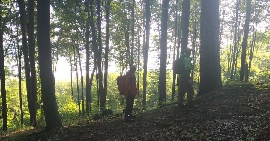 На Закарпатье в горах заблудились четверо детей: МВД готовится поднять вертолет