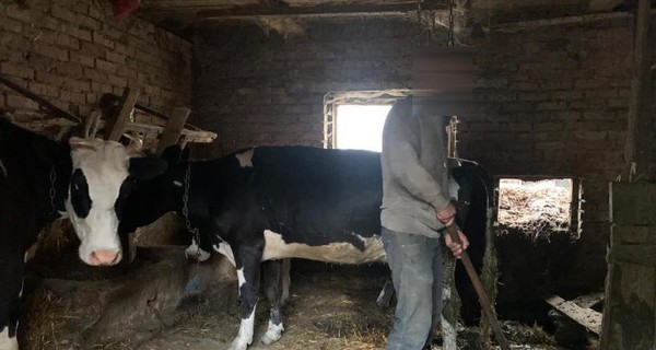 Женщина на Волыни держала в рабстве троих мужчин: жили в хлеву, работали за еду