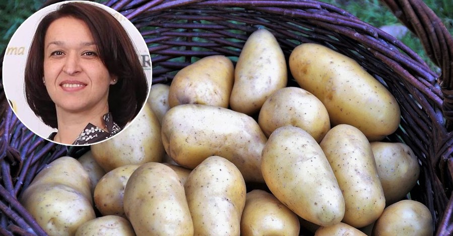 Директор Украинской ассоциации производителей картофеля Оксана Руженкова: Вы никогда не отличите ГМО-картошку от настоящей