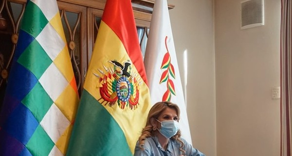 Арестованная экс-президент Боливии Жанин Аньес пыталась покончить с собой