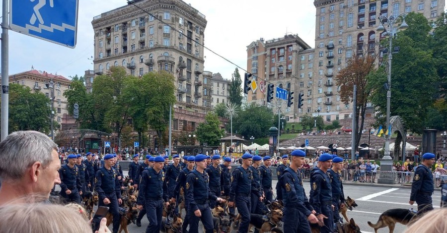 Техника, оркестр и собаки: как проходит подготовка к военному параду в Киеве