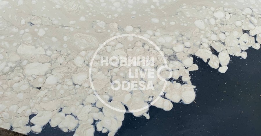В Одессе море после ливня покрылось странной пеной