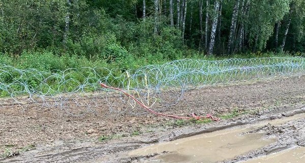 В Польше неизвестные сломали забор на границе с Беларусью 