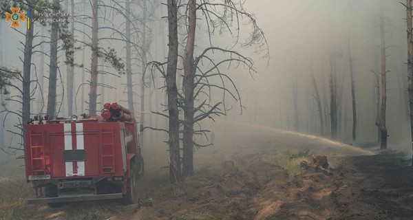 В Луганской области вспыхнули лесные пожары