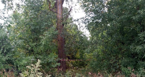 На Сумщине отец задушил сына из-за того, что тот обидел младшего брата