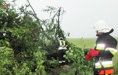 Непогода обрушилась на две области Украины: обесточен 71 населенный пункт 