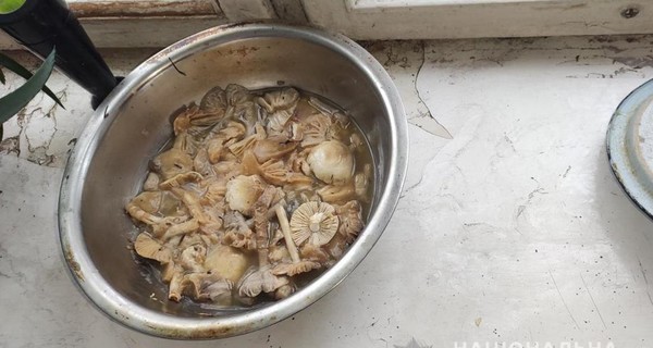 На Житомирщине скончались мать и ее две дочери, отравившись грибами