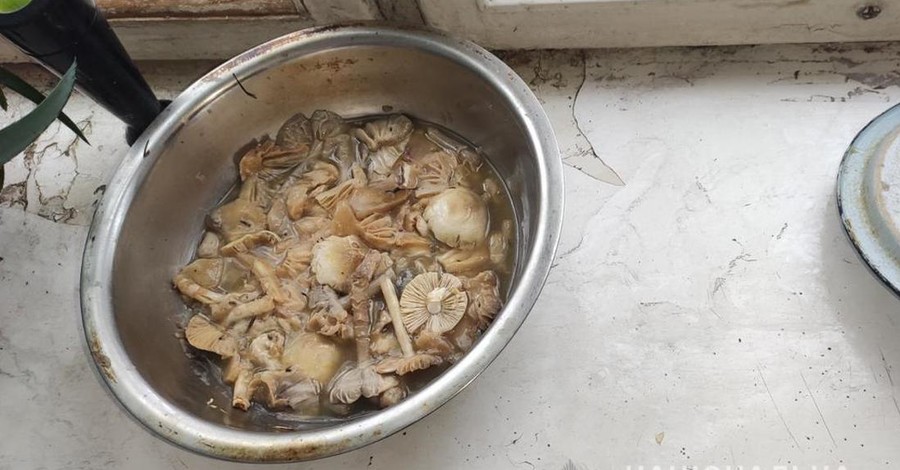 На Житомирщині померли мати і її дві дочки, отруївшись грибами