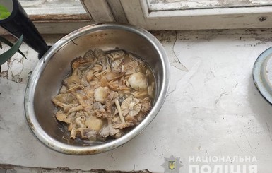 На Житомирщине скончались мать и ее две дочери, отравившись грибами