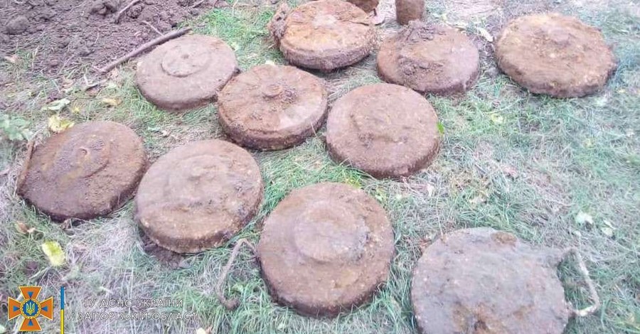У Запорізькій області в городі відкопали десятки мін, гранат і 2 кілограми тротилу