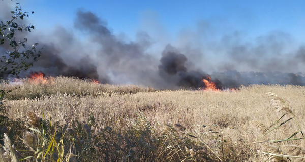 У Балаклії локалізували пожежу на Центральній вулиці, яка погрожувала житловим будинкам