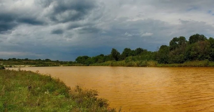 Загибель молюсків і нові греблі - що погубить річки України
