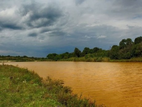 Гибель моллюсков и новые плотины – что погубит реки Украины