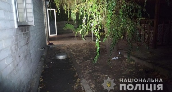 У Харкові літню жінку загризли насмерть власні собаки