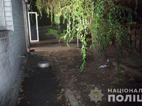 В Харькове пожилую женщину загрызли насмерть собственные собаки