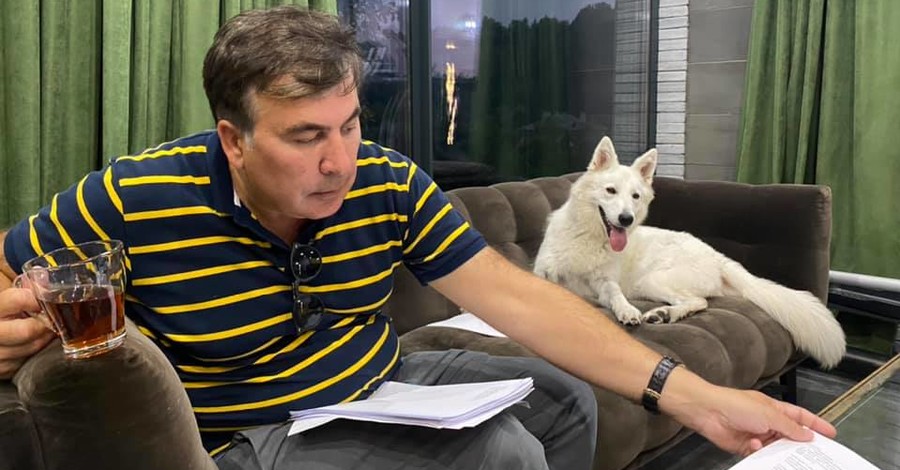 Личный врач Саакашвили: Ему сложно передвигаться, но срочного медицинского вмешательства не нужно