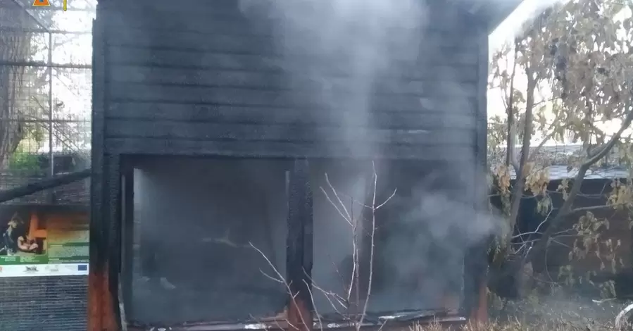В Луцком зоопарке сгорел деревянный домик с обезьянами 