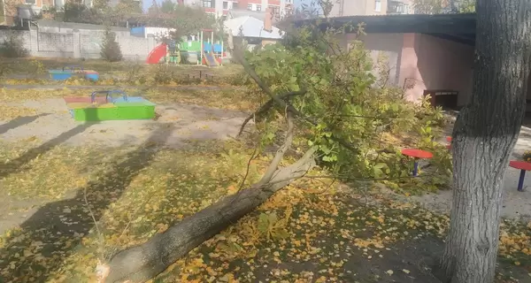 У Кременчуці на дітей і виховательку садочка впало дерево: дівчинка - в комі