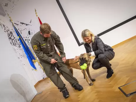 В Австрии служебных собак учат определять коронавирус