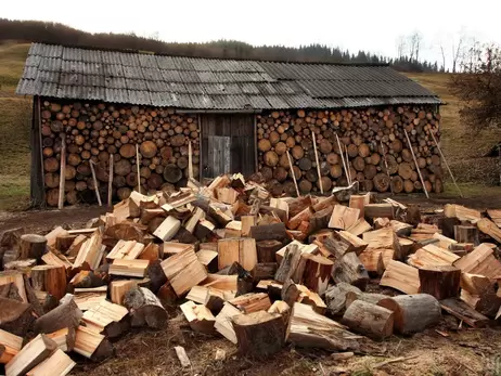 Пелети, дрова чи газ: чим вигідніше опалювати житло