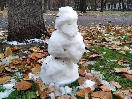 Погода в Украине: уже в четверг выпадет мокрый снег, а морозы пока не отступят