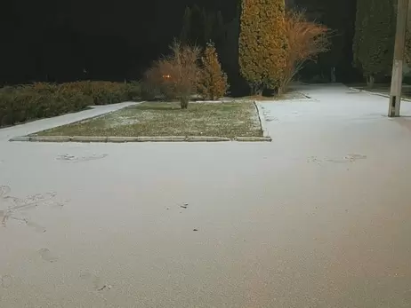 На Сумщині та Чернігівщині випав перший сніг