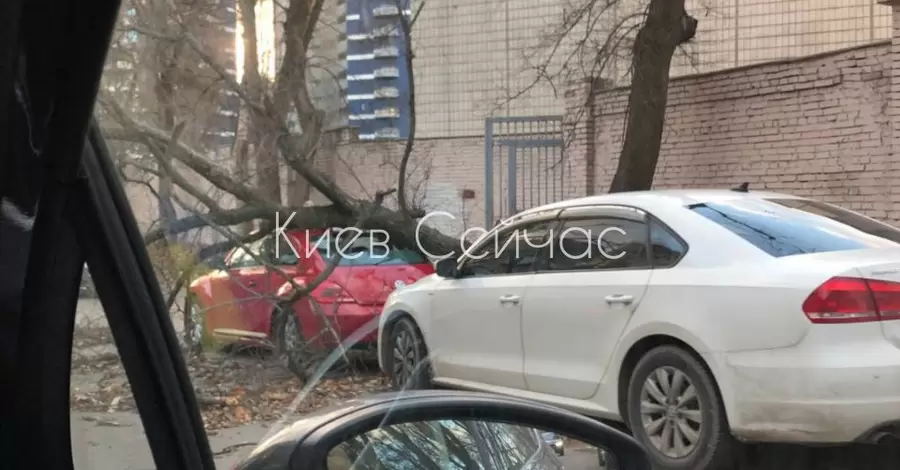 Сильний вітер у Києві повалив на машини дерева, не вщухне він і в неділю