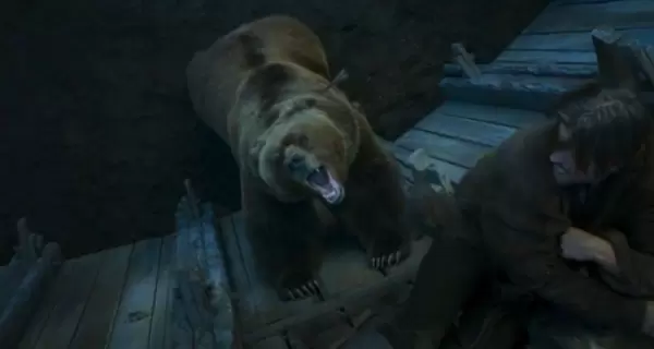Умер медведь, снимавшийся в «Игре престолов» и «Докторе Дулиттле- 2»