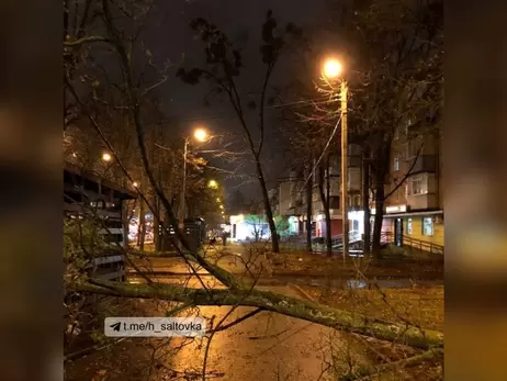 Харковом «пройшовся» штормовий вітер, залишивши після себе повалені дерева і розбиті машини