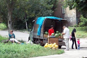 Бахчевые вдоль трассы теперь не купишь 