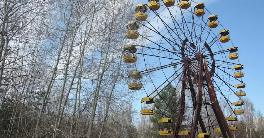 У Чорнобильській зоні вперше помітили рогатого жайворонка. Але у нього немає рогів, це такий вид