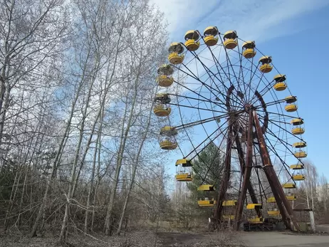В Чернобыльской зоне впервые заметили рогатого жаворонка. Но у него нет рогов, это такой вид